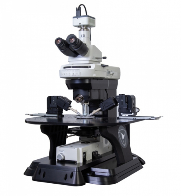uMs SENSAPEX Microscope