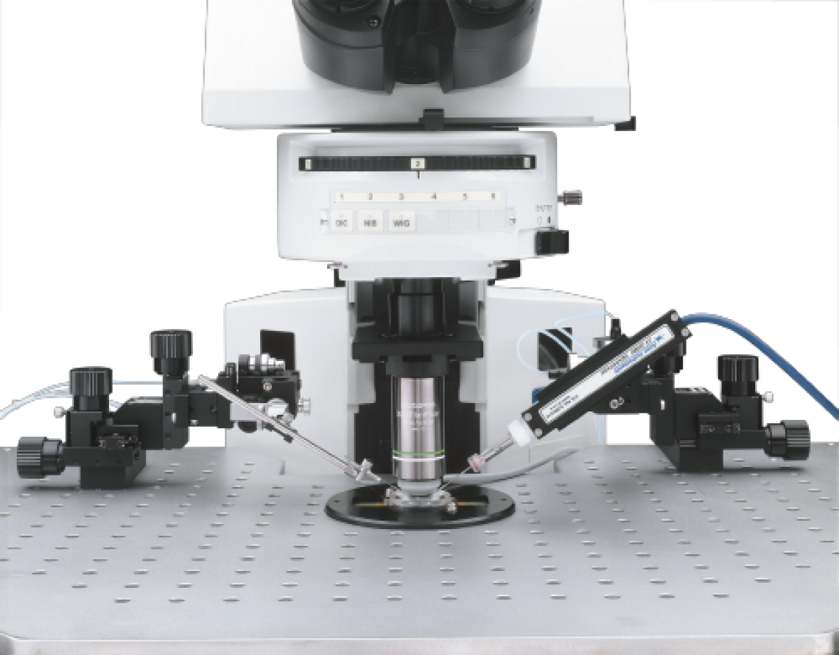 Microscope OLYMPUS BX51WI -2